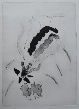 Zoltin Peeter . etching # VEDERLICHT # 1991, mint SOLD