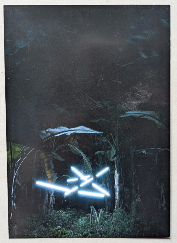 A dimly lit forest scene featuring glowing, abstract lines of light cutting through dark foliage, creating an ethereal atmosphere.