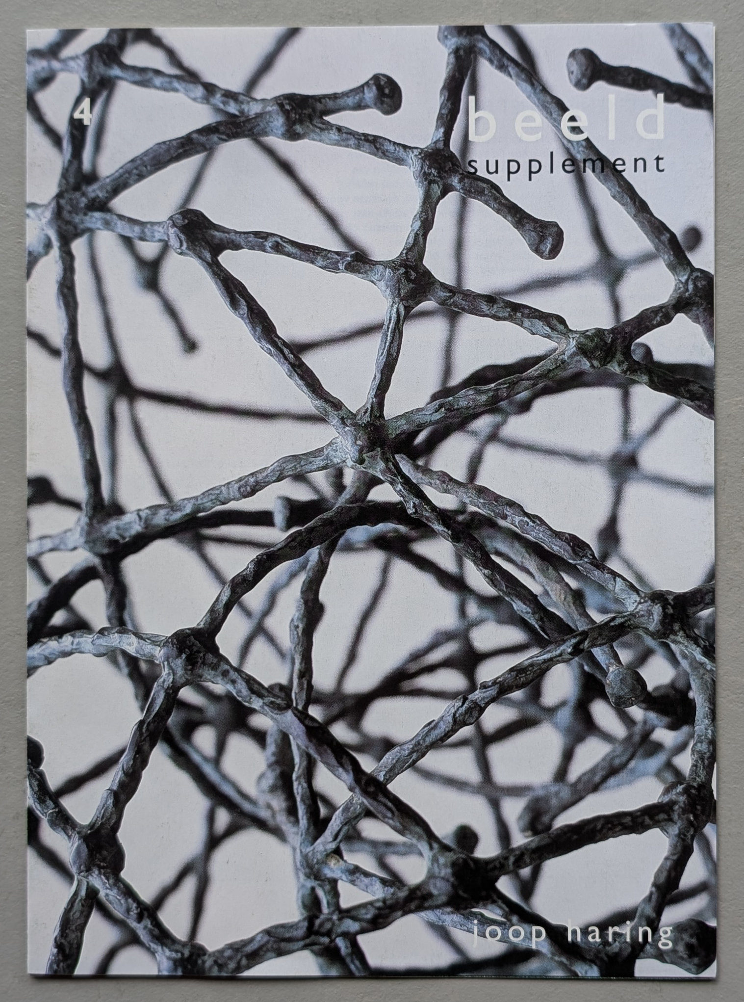 Cover of a publication titled 'beeld supplement' featuring an abstract close-up of intertwined, wire-like structures in shades of gray and black with the artist's name 'loop haring' at the bottom.