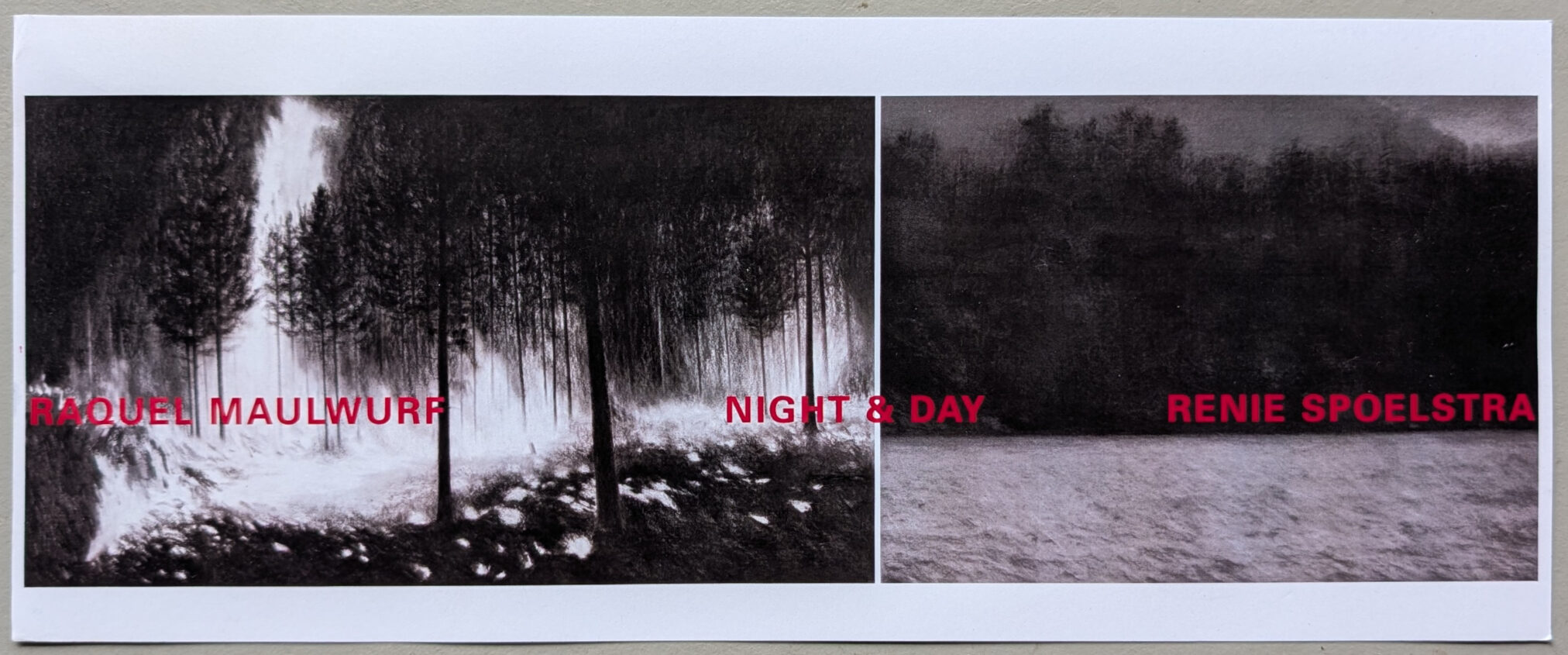 A promotional postcard for an exhibition titled 'Night & Day' featuring artworks by Raquel Maulwurf and Renie Spoelstra, with a dark, atmospheric forest scene and bold text in red.