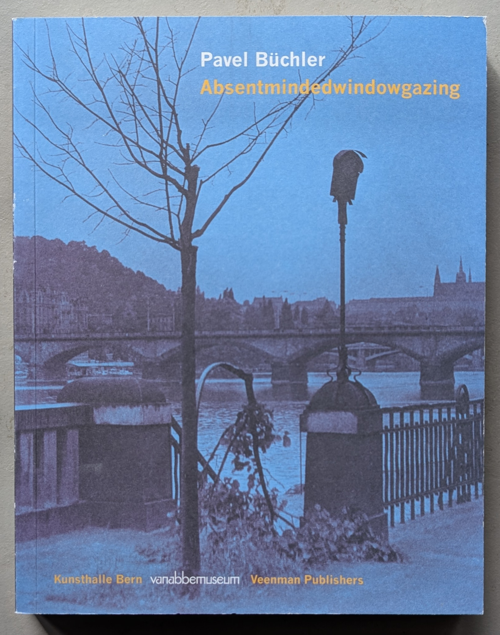 A book cover featuring a tree and a lamppost beside a river, with the title 'Pavel Büchler Absentmindedwindowgazing' prominently displayed in white and orange text.