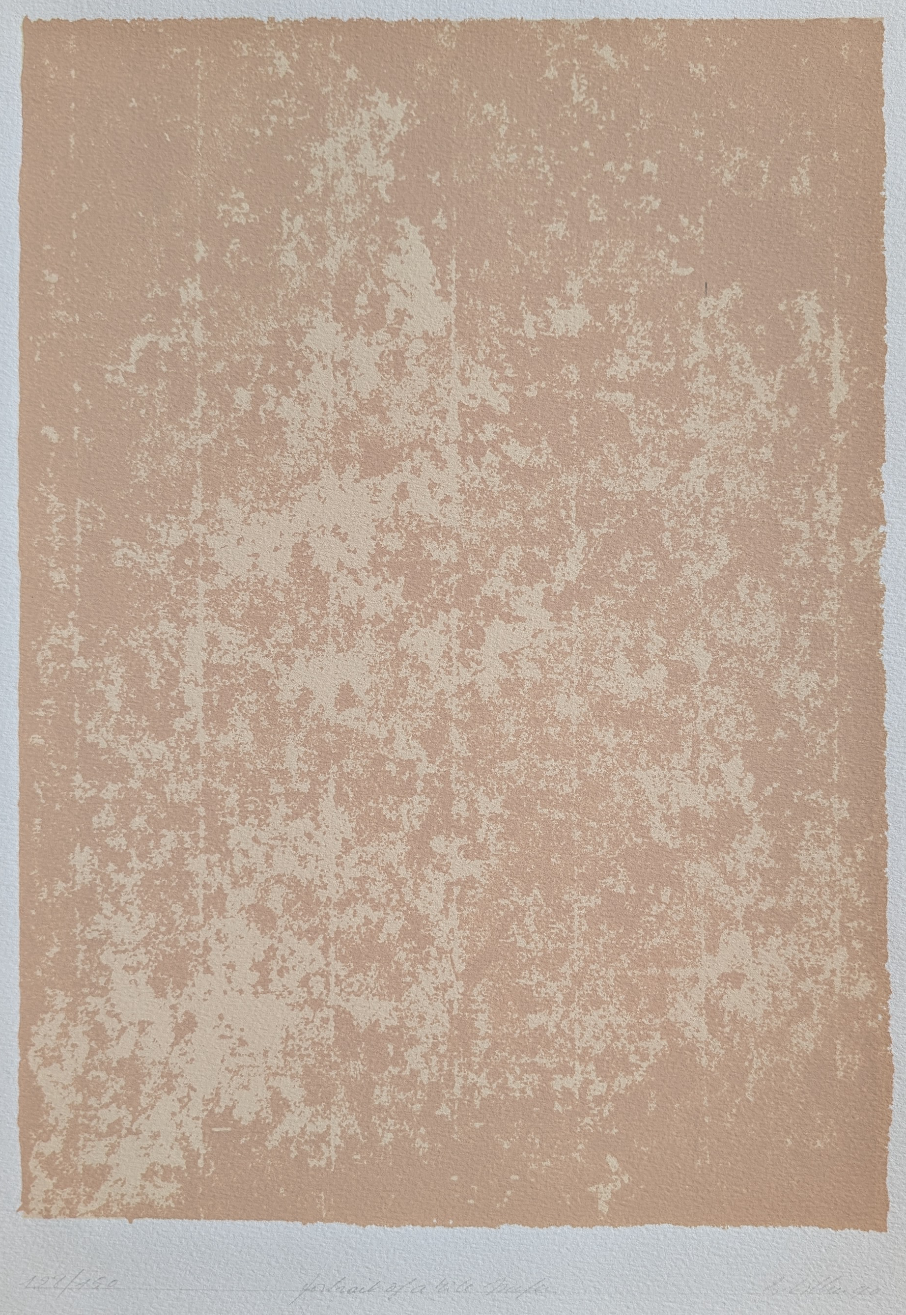 Artistic print featuring a textured surface in soft peach tones, showcasing subtle imperfections and a minimalistic style.