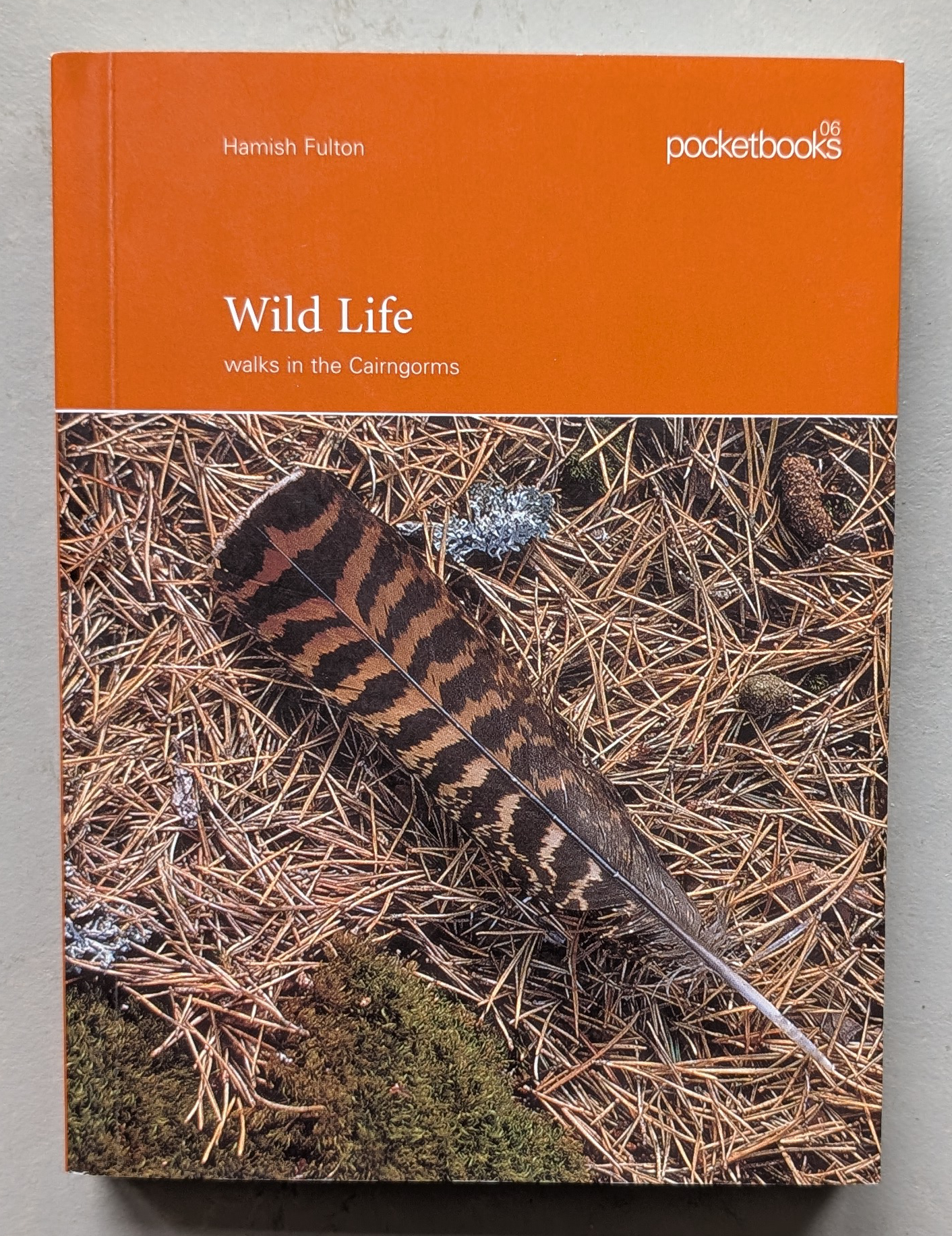Book cover of 'Wild Life: walks in the Cairngorms' by Hamish Fulton, featuring a feather on a bed of pine needles.